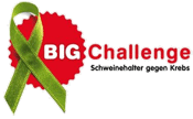 Logo BIG Challenge
