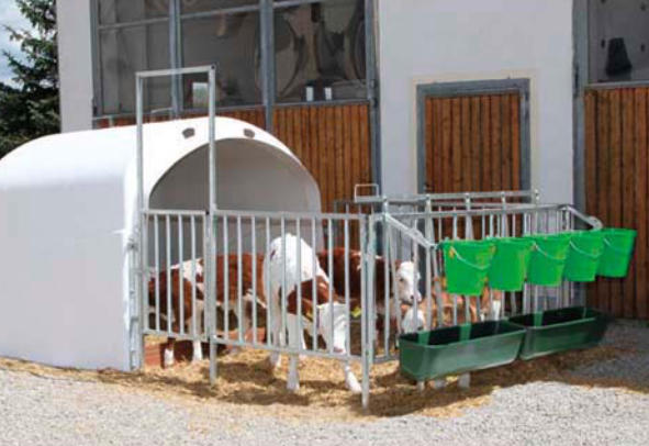 Calf-House Premium mit Zaun