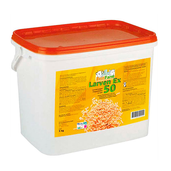 Fliegen-Stopp mit dem BestFarm Larven Ex 50