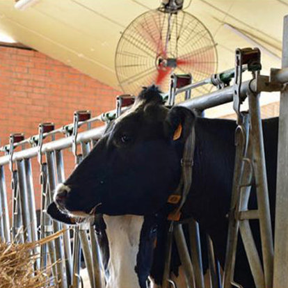 Korbventilatoren für höheren Tierkomfort