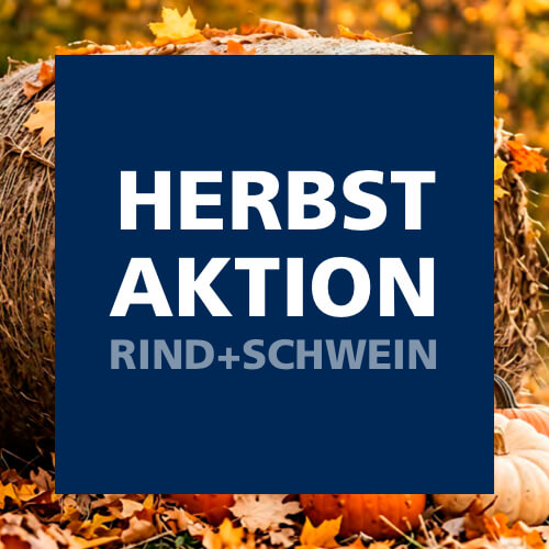 Herbstaktion 2026