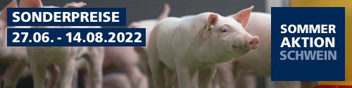 Sommeraktion Schwein 2022