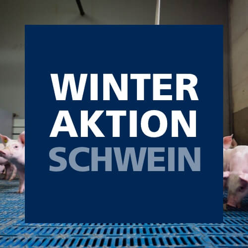 Winteraktion Schwein 2026