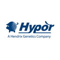 Hypor – A Hendrix Genetics Company