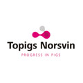 Topigs Norsvin