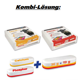 Prophylaktische Calcium- und Phosphorversorgung Kombi Lösung