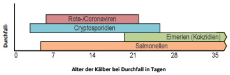 Durchfallerreger bei Kälbern über einen Zeitraum von 35 Tagen