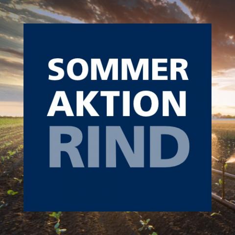 Sommeraktion Rind 2023