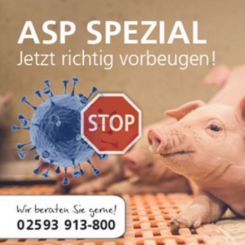 Ausbruch der Afrikanischen Schweinepest in einem niedersächsischen Betrieb