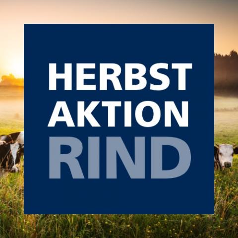 Herbstaktion Rind 2021