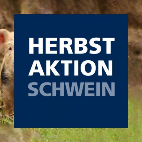 Herbstaktion Schwein 2021