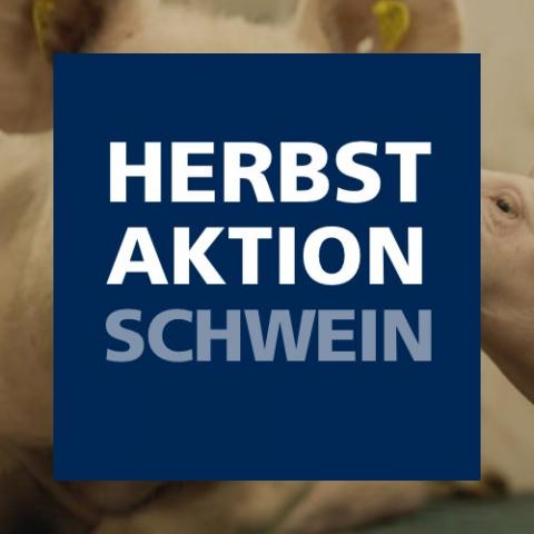 Herbstaktion Schwein 2022