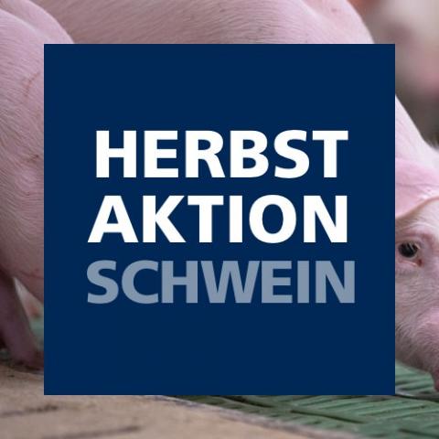 Herbstaktion Schwein 2023