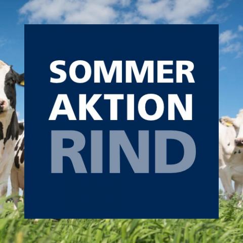 Sommeraktion Rind 2021