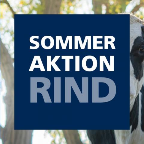 Sommeraktion Rind 2022