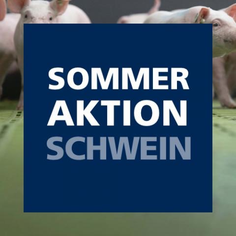 Sommeraktion Schwein 2022