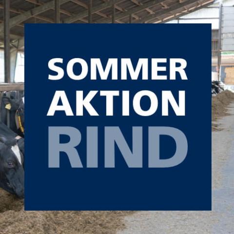 Sommeraktion Rind 2025