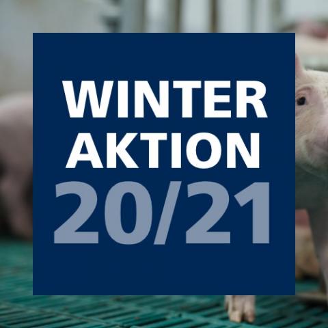 Winteraktion 2020 / 2021