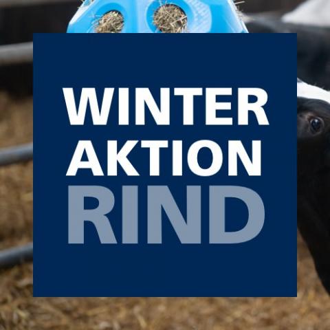 Winteraktion Rind 2022