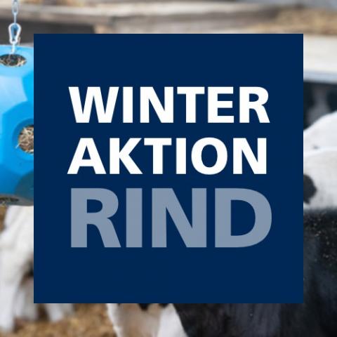 Winteraktion Rind 2024