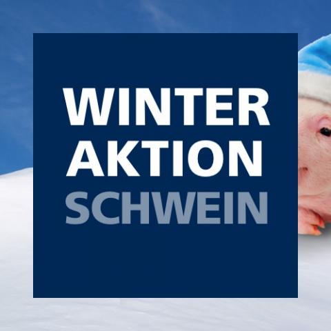 Winteraktion Schwein 2022
