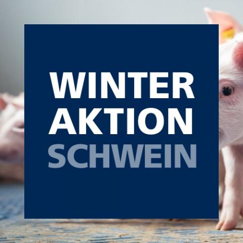 Winteraktion Schwein 2024
