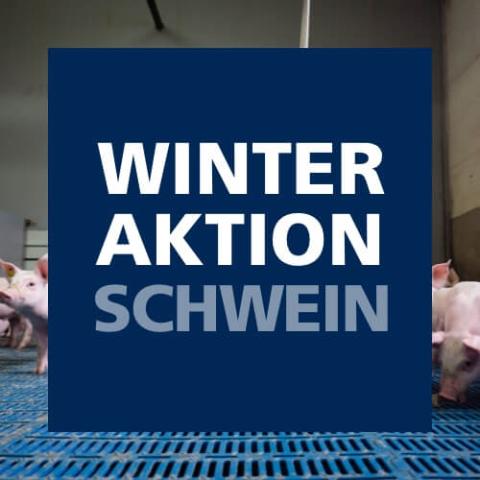 Winteraktion Schwein 2026