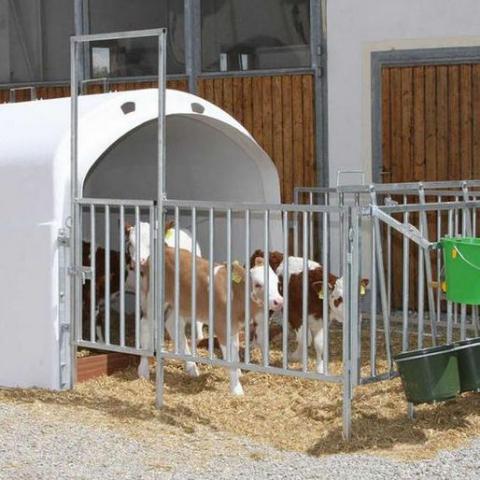 Calf-House 5 Premium mit Zaun