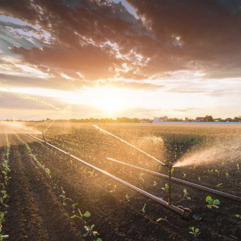 Die Bewässerung von Gärten und landwirtschaftlichen Flächen gewinnt immer mehr an Bedeutung