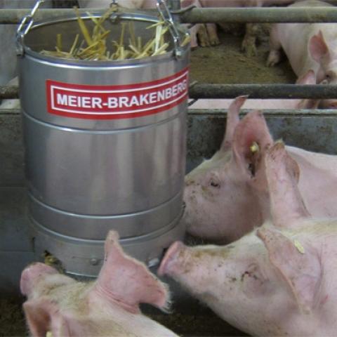 Porky's Fun: die innovative Strohbox für mehr Tierwohl