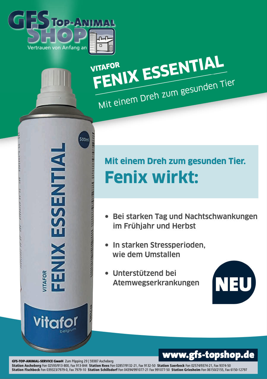 Vitafor Fenox Essential