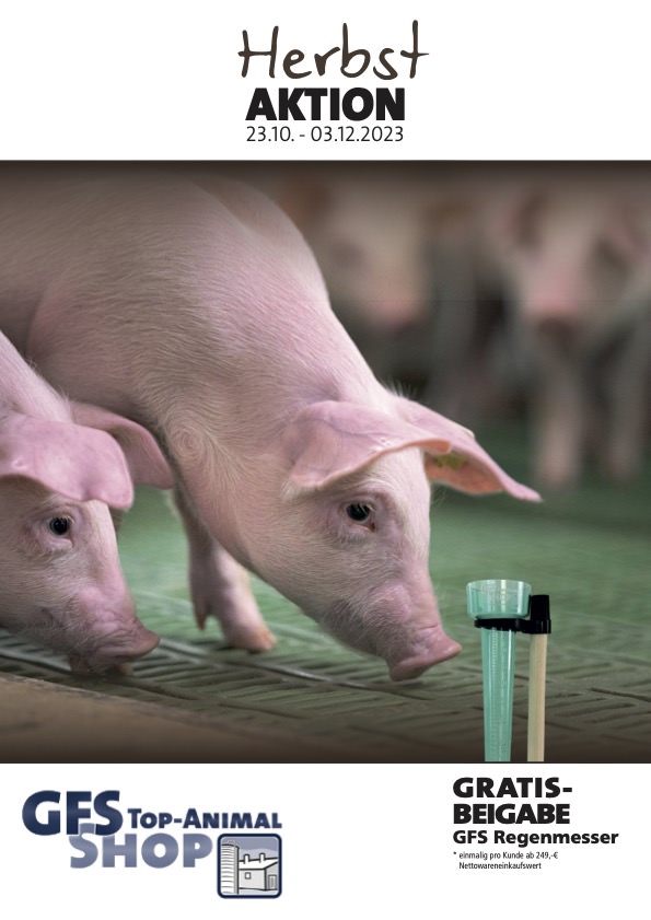 Herbstaktion Schwein 2023