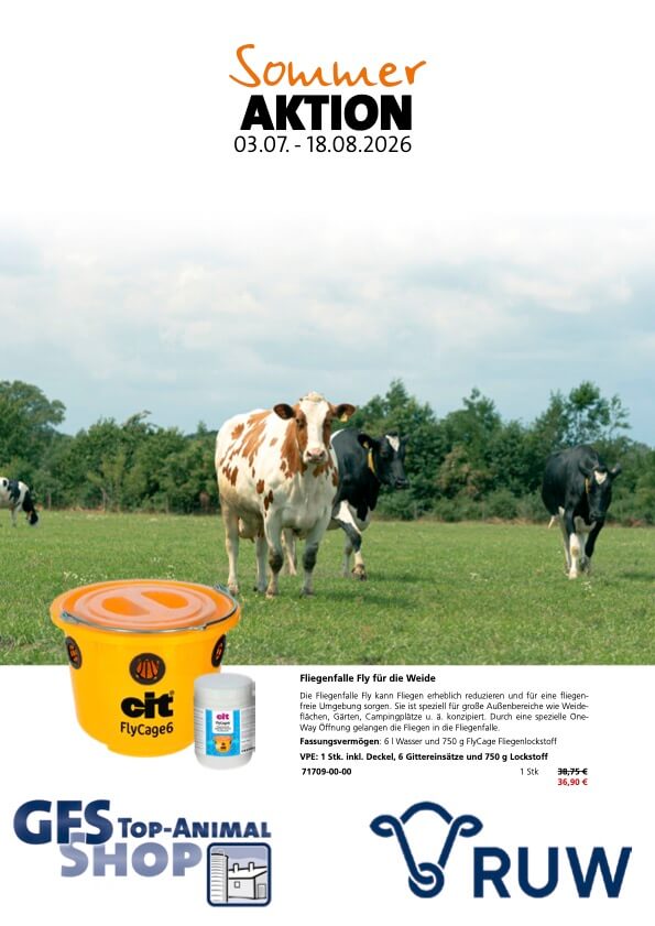 Sommeraktion Rind 2026