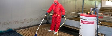 Stallhygiene