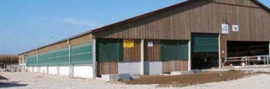 Stallklima