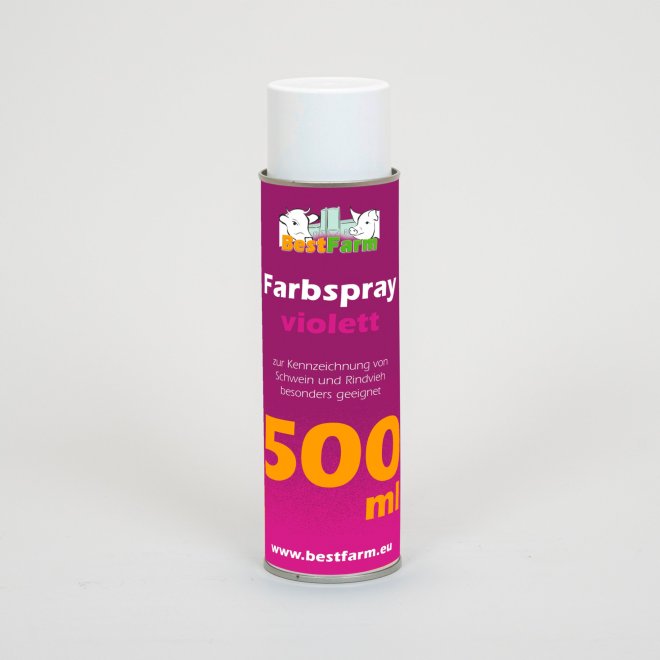 Farbspray Big (500 ml) #8