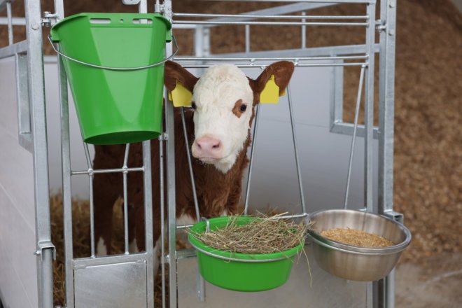 Futterschale Edelstahl 5,5 Liter #2