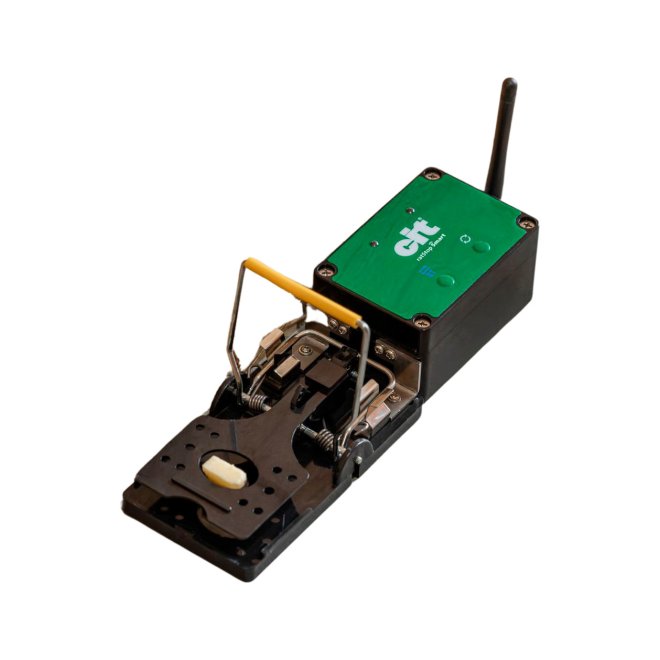 Rattenfalle Smart #2