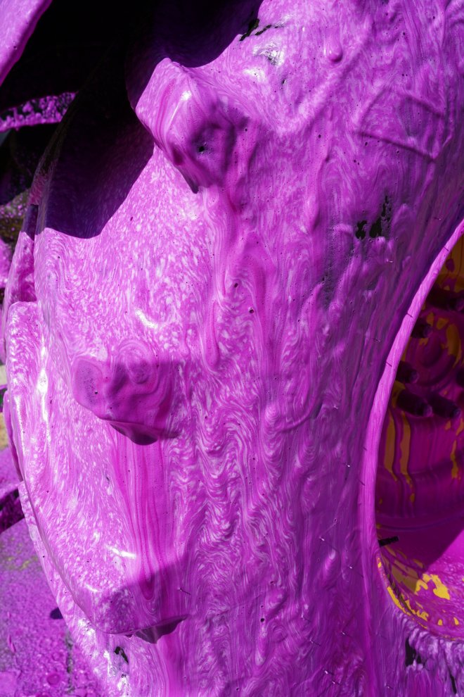 BestFarm Maschinenreiniger Pink Revolution (20 kg) #2