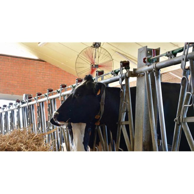 Multifan Korbventilator K6, E63 (230 V) #1