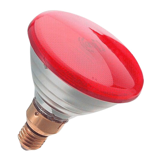BestFarm Infrarot-Sparlampe 100 W, rot (12 Stk)