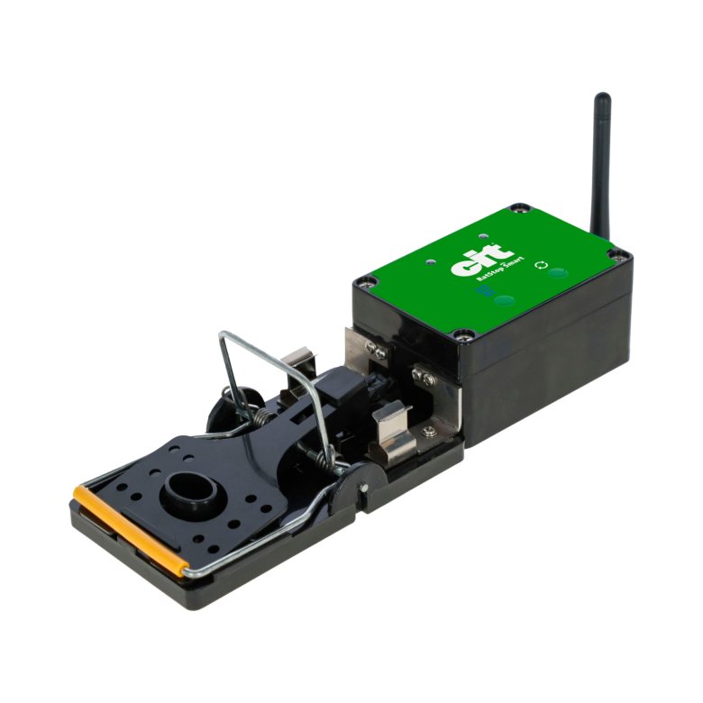 Rattenfalle Smart