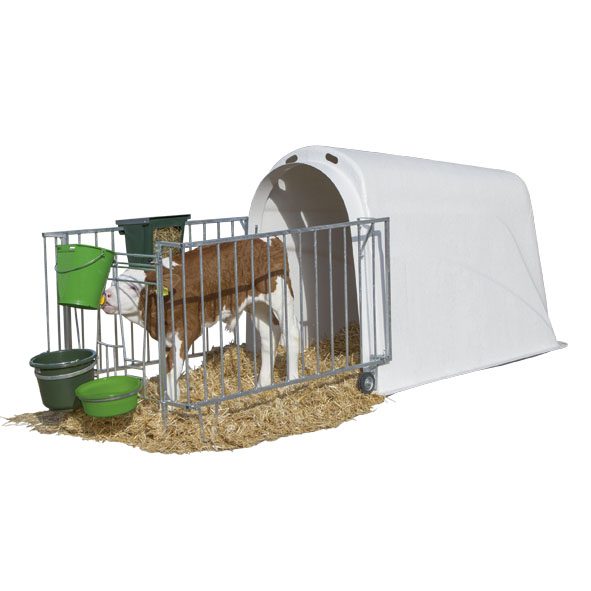 Calf House Master Plus mit Zaun