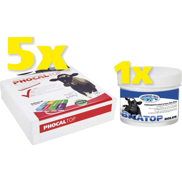 Phocal Top Aktionspaket