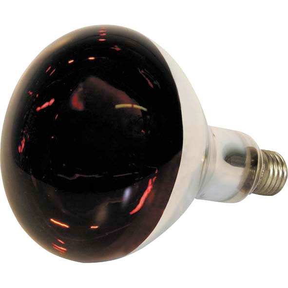 Hartglas Infrarot Infrarotlampe Infrarotstrahler Wärmelampe Philips 150 W klar 