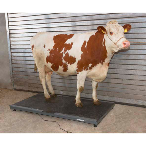 plattformwaage ps 3000 bis 1500 kg hier kaufen sparen plattformwaage ps 3000 bis 1500 kg hier kaufen sparen