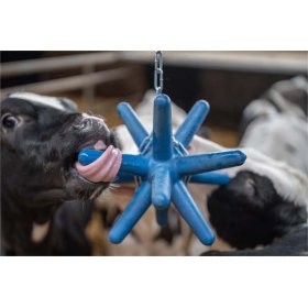 Spieligel BestFarm Luna 117