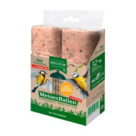 Meisenballen mit Insekten mit Aufhänger, ohne Netz