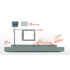 CIMA Identifikationssystem